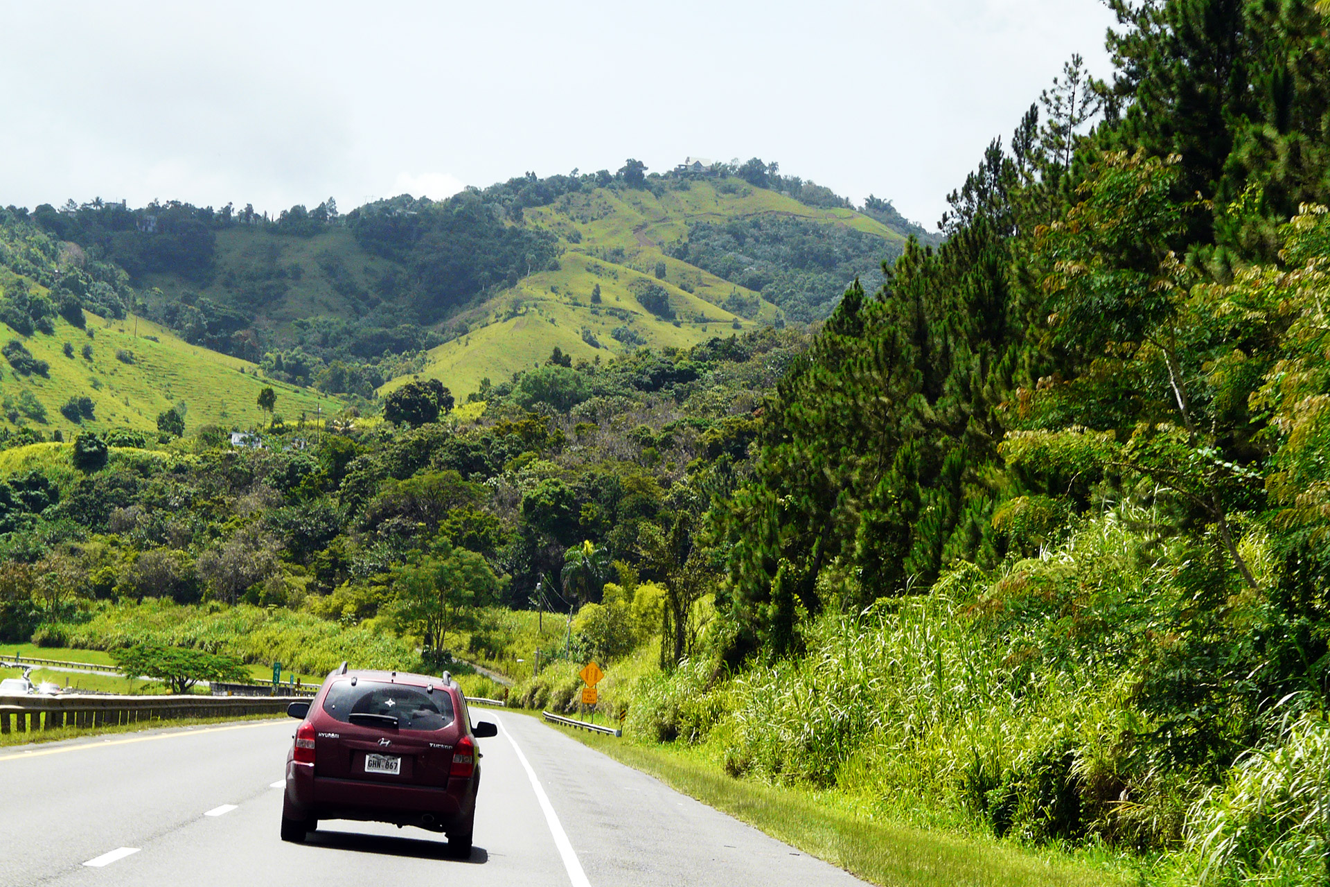 Road in Puerto Rico